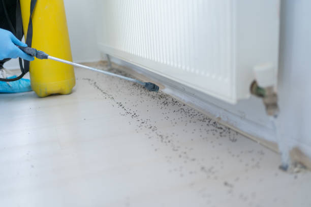 Pest Prevention Services in Horatio, AR