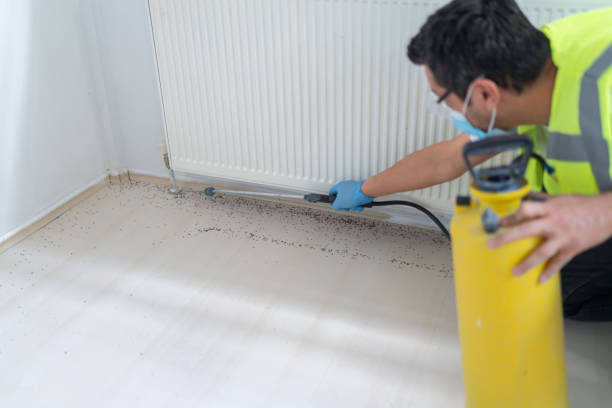 Best Bed Bug Extermination  in Horatio, AR